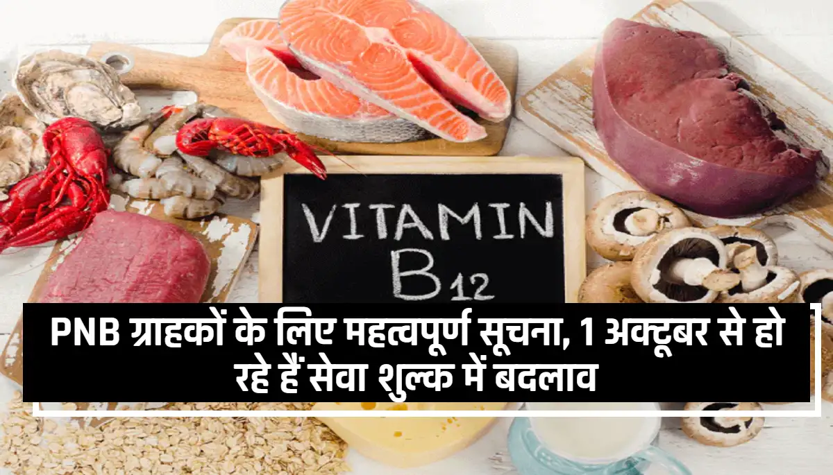 Vitamin B12 Benefits: हाथ-पैरों में झनझनाहट, Vitamin B12 की कमी हो सकती है इसके लिए जिम्मेदार